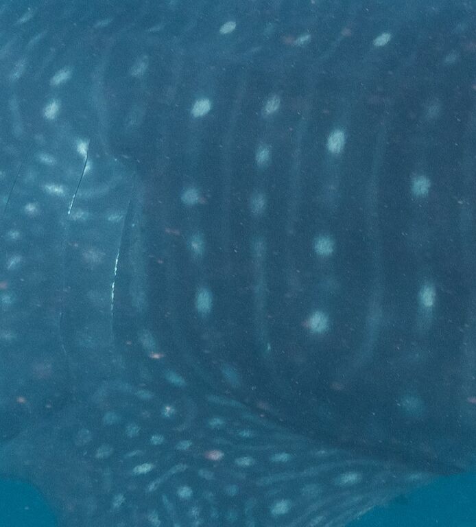 761dd40f-64cb-41db-945d-521ac1f202f7