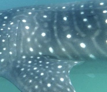 04a3f1fe-153f-4be8-a646-08d727e84682