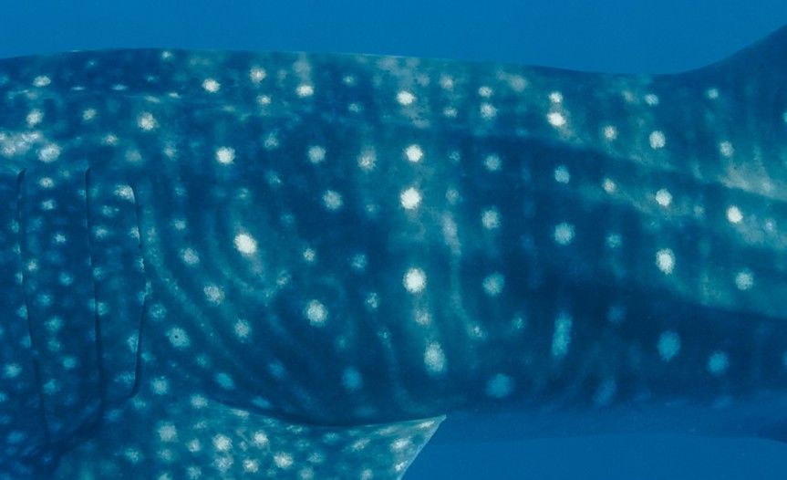 06c0fccf-d4c9-4c37-ab8b-2127332a1a59