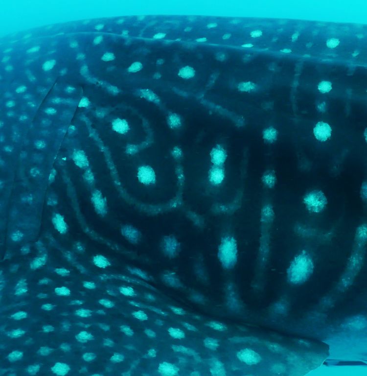 caf385a3-c07b-41b1-9abc-7be380aeb380