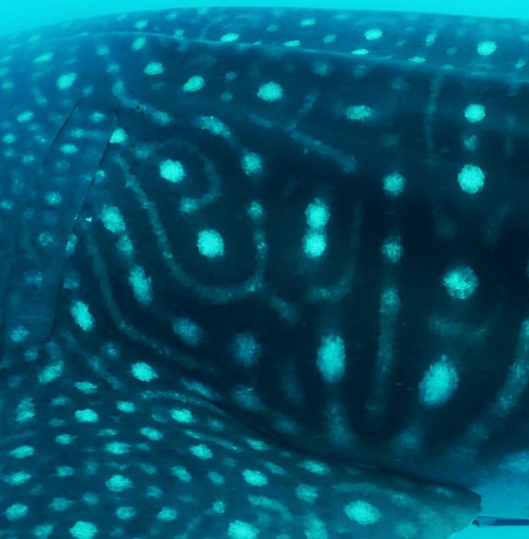 caf385a3-c07b-41b1-9abc-7be380aeb380