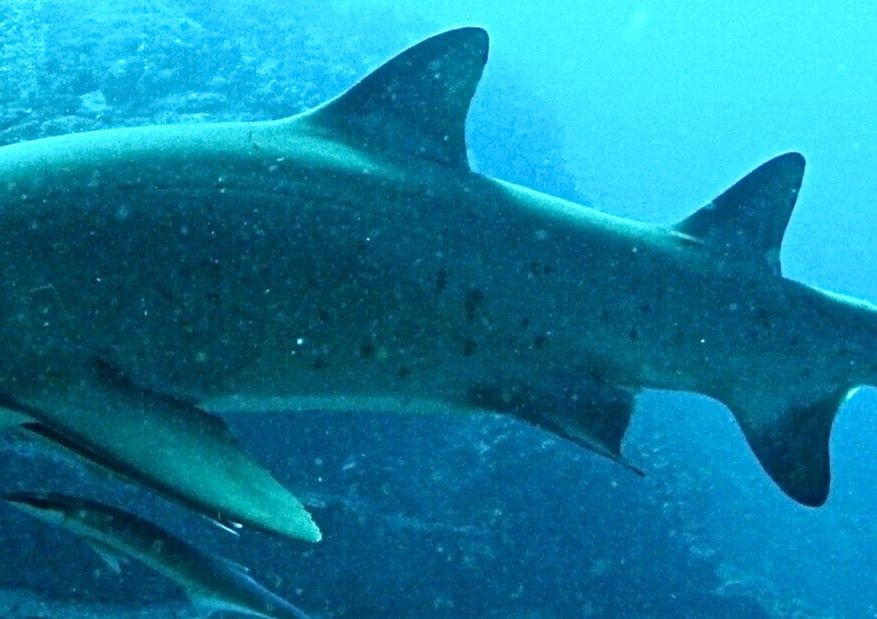 6b0050bf-a80e-4665-8006-603cf93db6f1