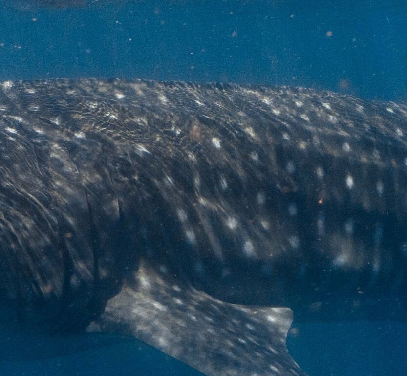 0abbf7dc-de81-45a1-a75d-454537278721