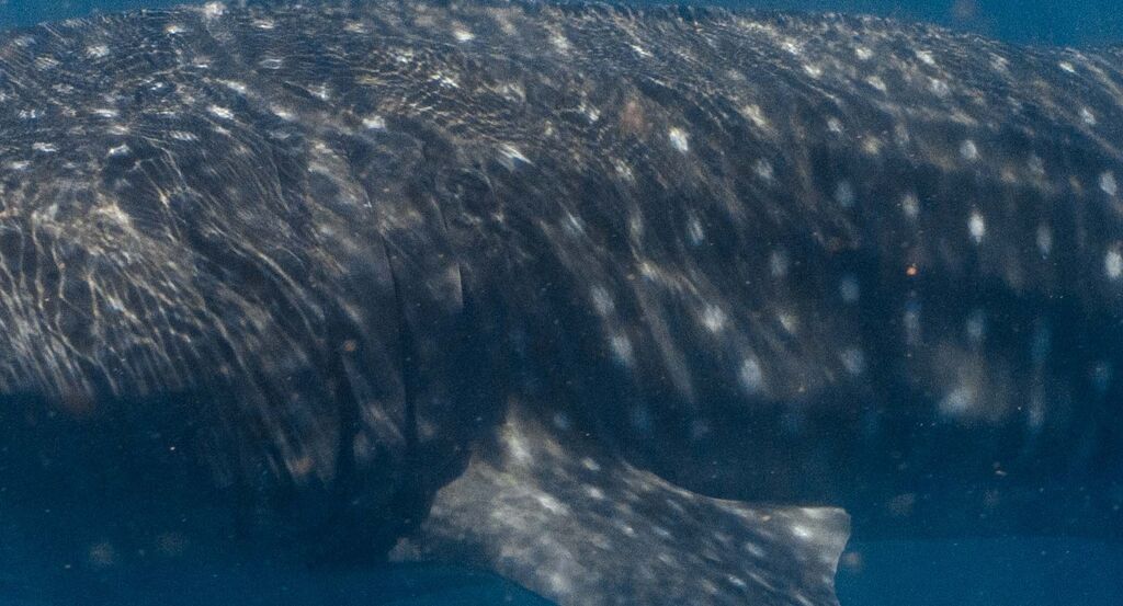 0abbf7dc-de81-45a1-a75d-454537278721