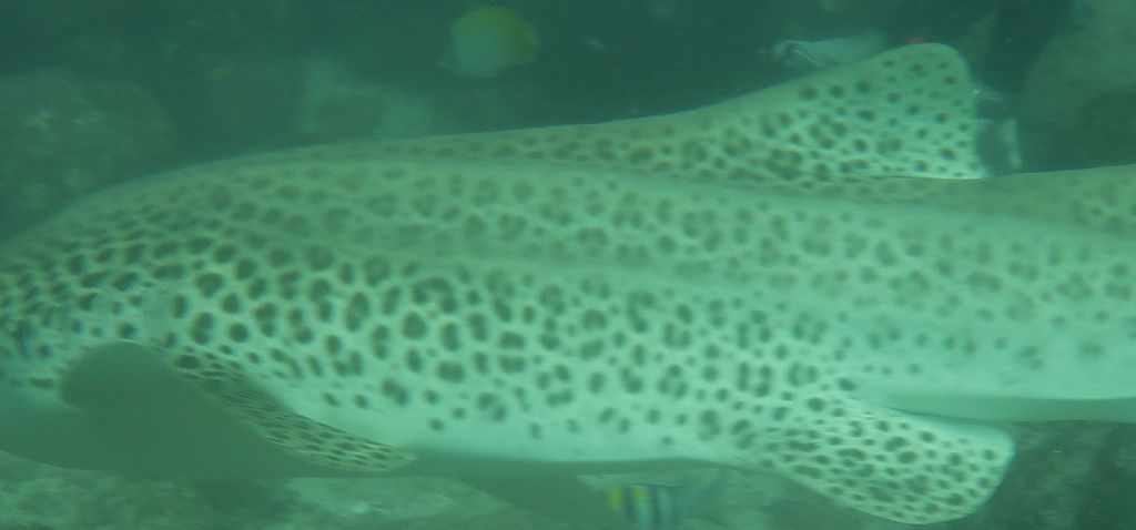 b59a32f6-1091-4849-b0c2-c59a1a420614