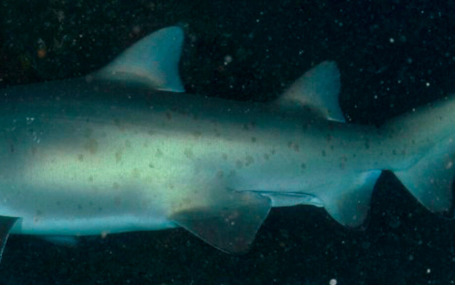 7aa49ec8-61e2-4d4f-b61d-9a56f32518f1