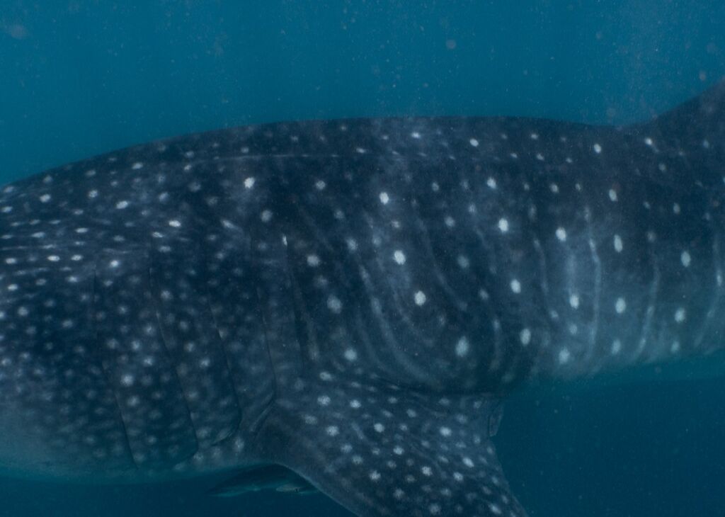 29bceb0b-f5d4-4078-be17-0724535cf84f