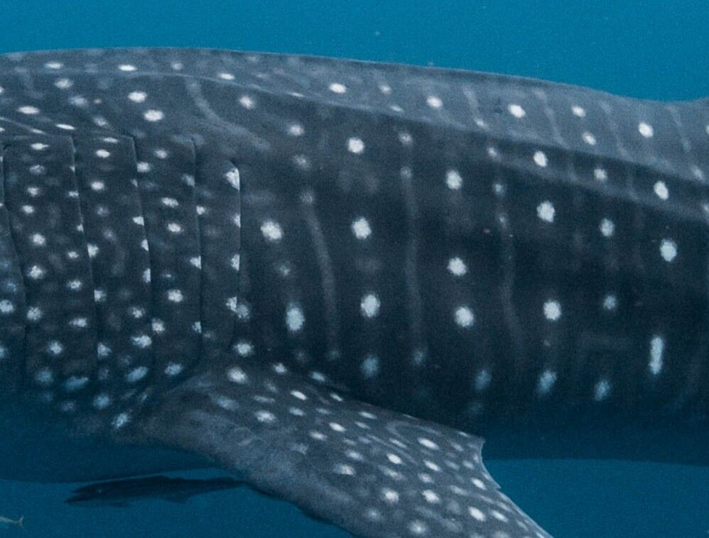 26d68302-a9a6-4683-9a2f-095e9f09af7e