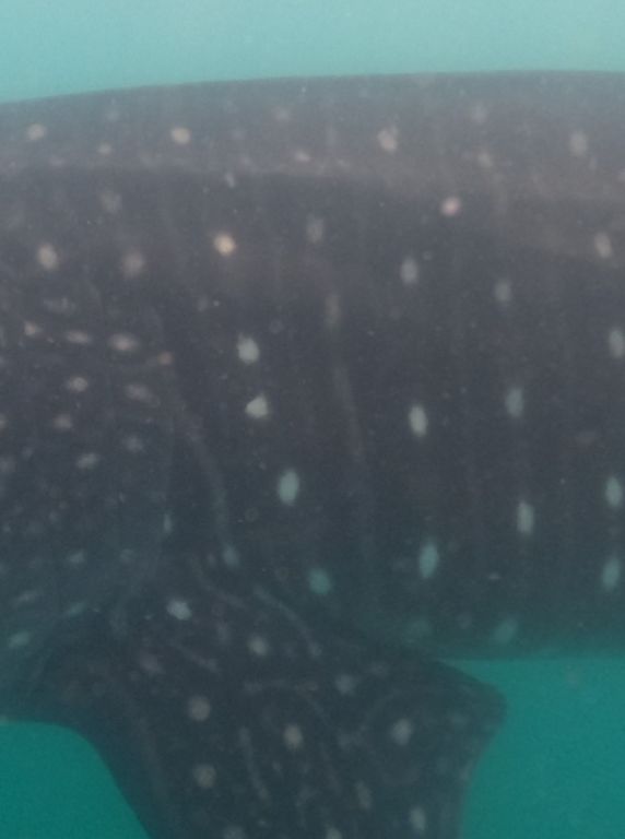 21688be9-9bf1-40e4-9e80-08201e0163b5