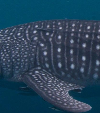 bf3a62dc-a892-414e-9870-affffd4b4d8a