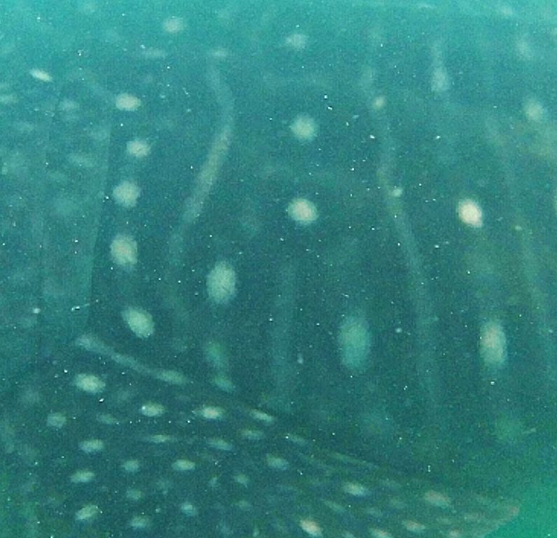 9d1e7709-cab4-418f-a3f1-a40a6d6ecce7