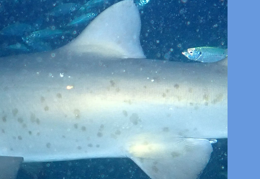 00f35fac-858f-4621-9f60-14c90b62ec8e