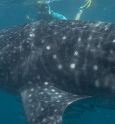 92eff3f7-ff19-4b74-af6c-c7b3f2650b27