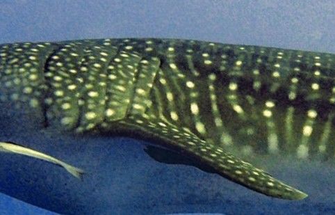 82d41551-012f-4389-aeb2-e9607706592e