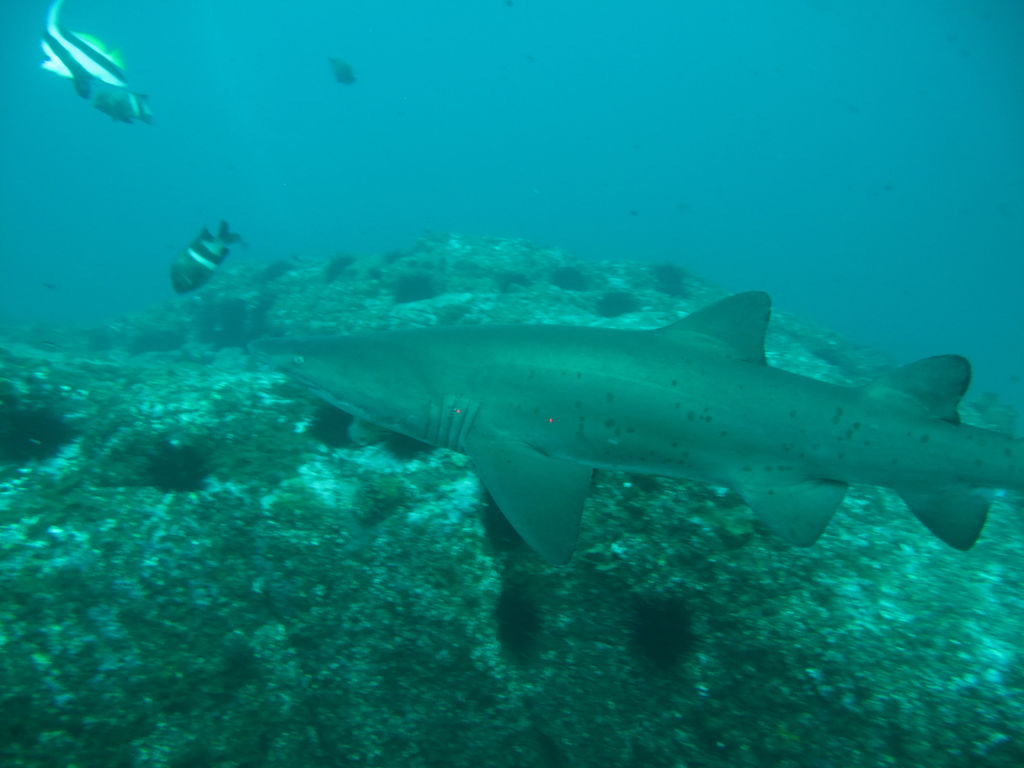 783e2ec4-2f1a-4626-8eca-46c8cfefc45b