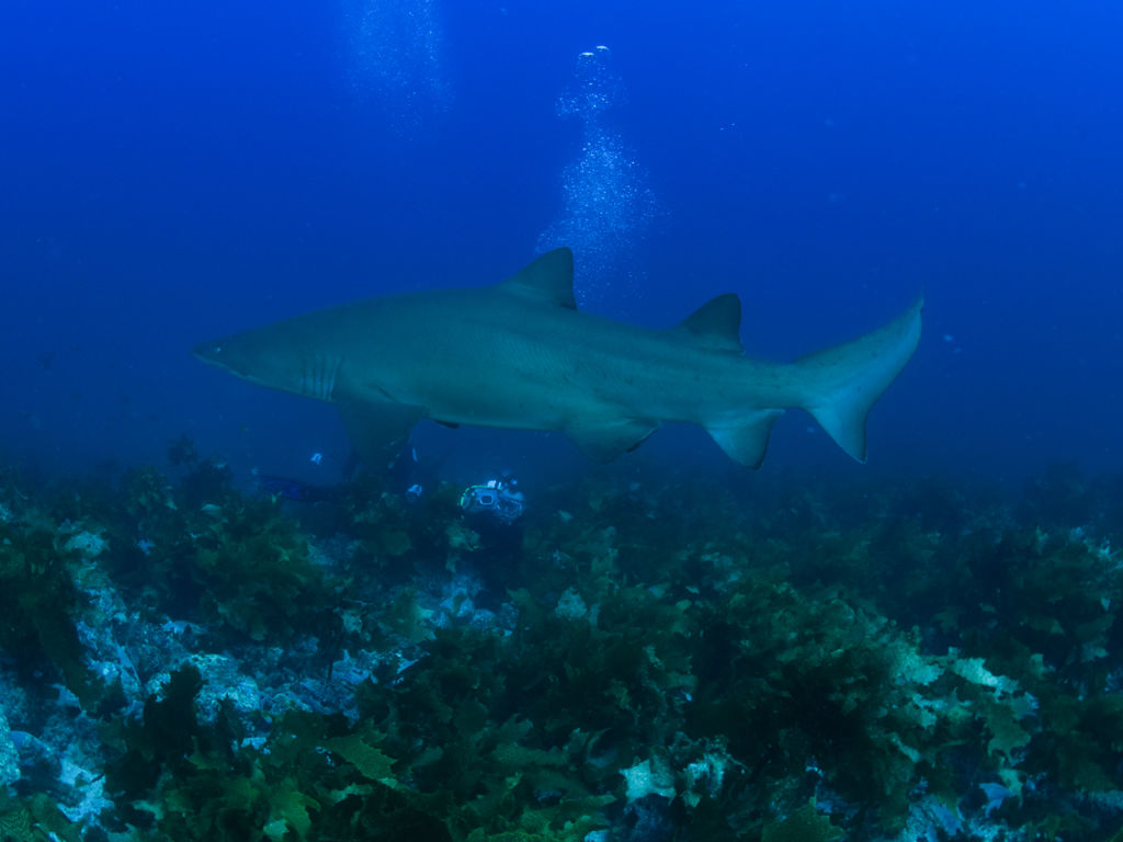 a1af5791-4cca-47fa-bd9d-11aac6cdcf29