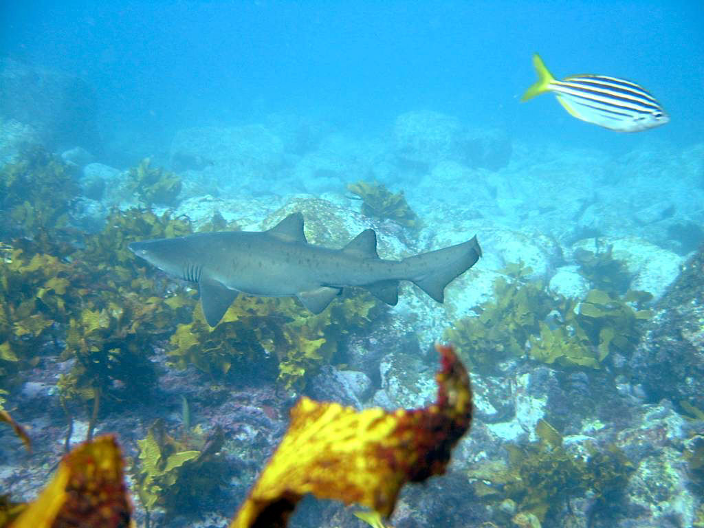 1c488835-3dc5-43d4-b749-d8d96e7d1f75