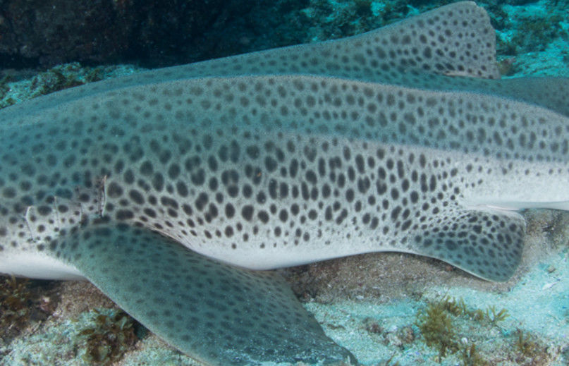 14dddda1-c4c9-4ceb-99c2-0d6f5629934e