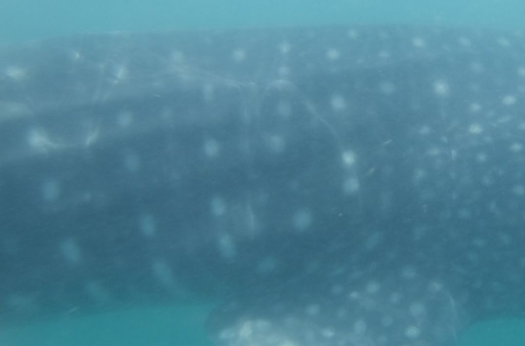 656d6d6b-a54d-4270-90a0-4e1f54d6e6ac