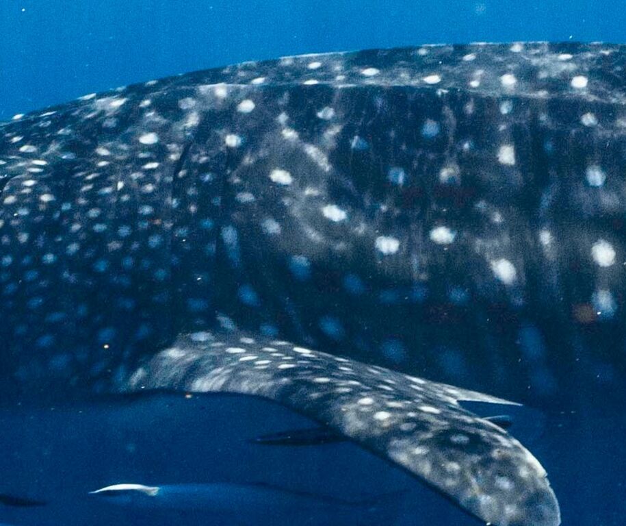 2aa0d8e1-9634-4967-ab7e-8768f46f4f23