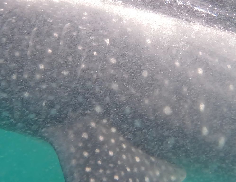 0a1bb41a-d404-4529-8c11-02f28314e9cf