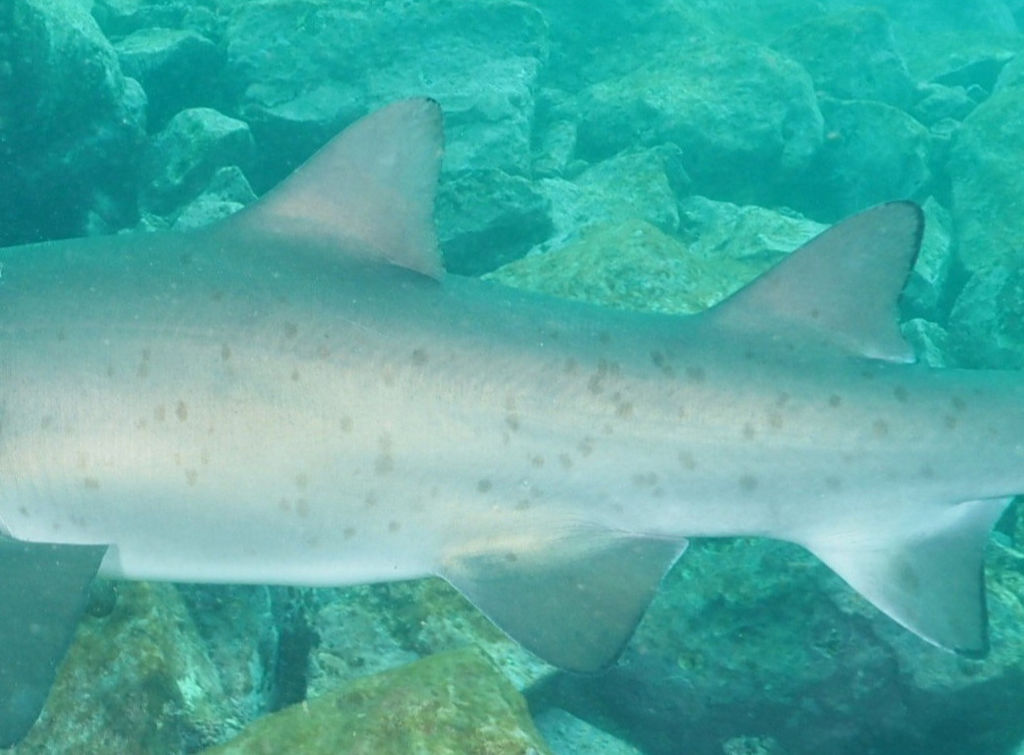 57faf047-564f-48c4-acee-a7781fb52398