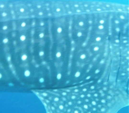 9b2720a0-b6c4-4058-866f-baeee09b75d4