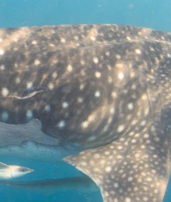 3e930d71-cdc5-45c3-8899-d1db88a8a9b8