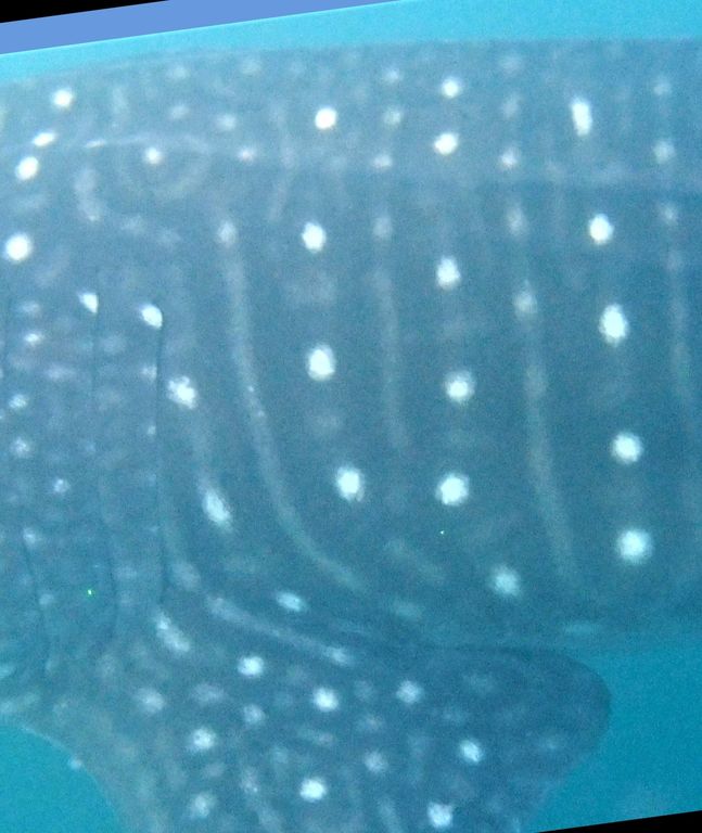 f1e74bc6-7517-478c-af2e-4edaadb1e155