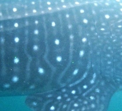 f1e74bc6-7517-478c-af2e-4edaadb1e155