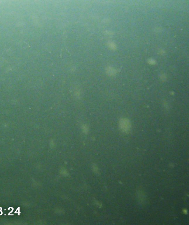 bc77869c-5fe1-4925-b336-a4635c0b6f93