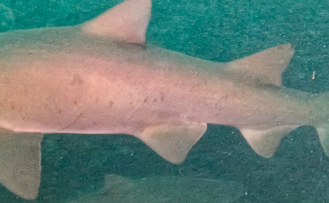 8a54b576-9547-4d5d-ba35-6d9643e0eeae