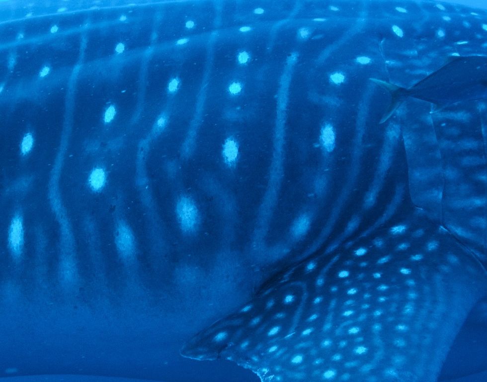 20778fcb-b373-4dfa-8a80-e230c31535b9