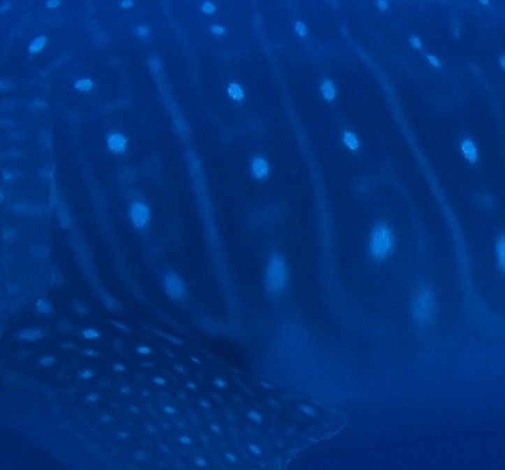 20778fcb-b373-4dfa-8a80-e230c31535b9