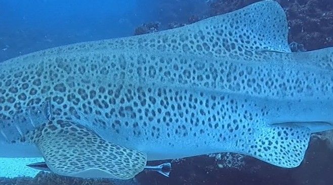 e6fe2eb8-8abe-43ef-90a2-4bc0826aaa45