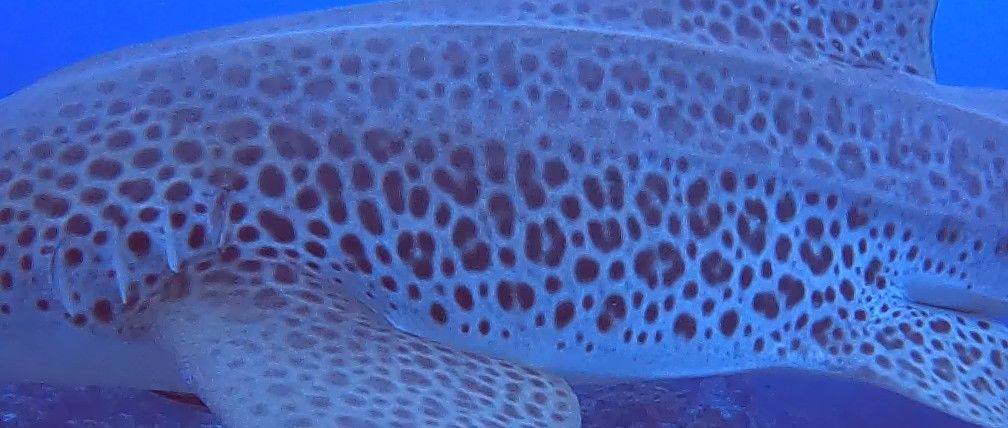 ccec62c5-a69f-4b1c-afc4-43e238e24ac2