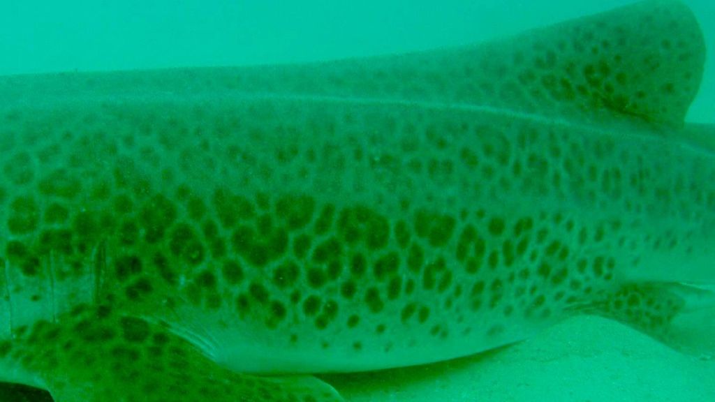 b61eaf69-b8e1-4299-a73e-567b7c96c242