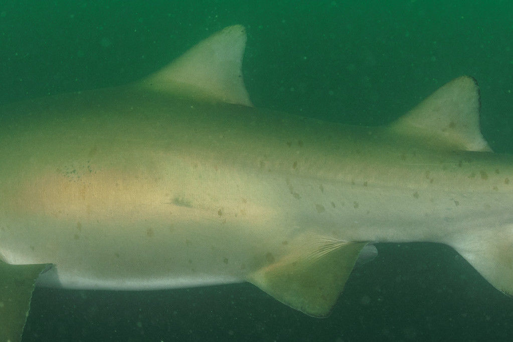 fa285150-2bb9-4bec-a5ca-ee96e5f83138