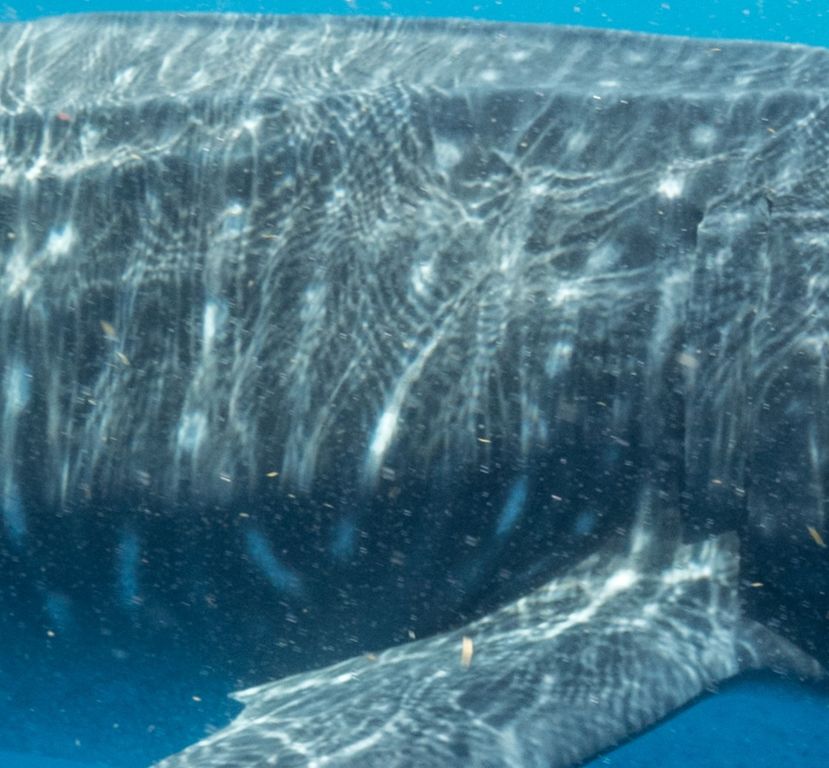 6b13d6b7-2886-43f3-8d0c-bebba49201e5