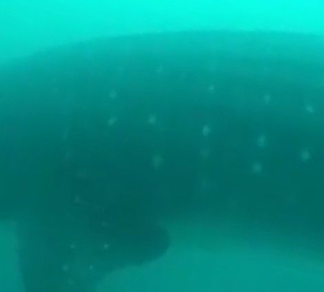 34c725ea-d6ff-42e0-a794-6213cf747be4