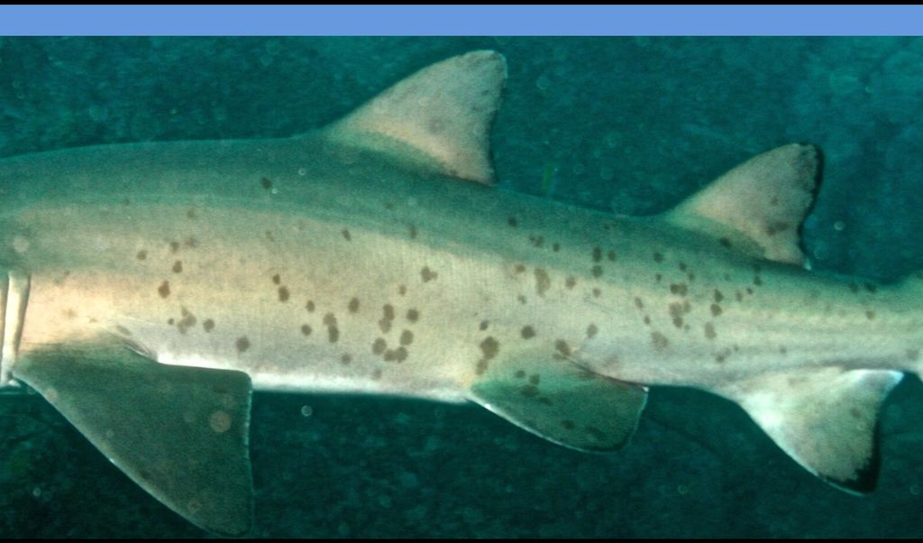 518eedd6-7676-4bca-b1f7-40210ba397a1