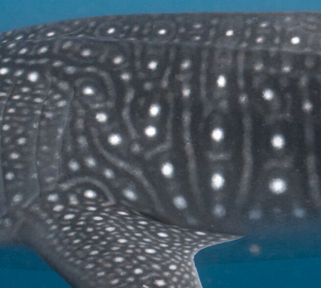 11888fbd-afdc-4706-a68f-28e5d2d8a575