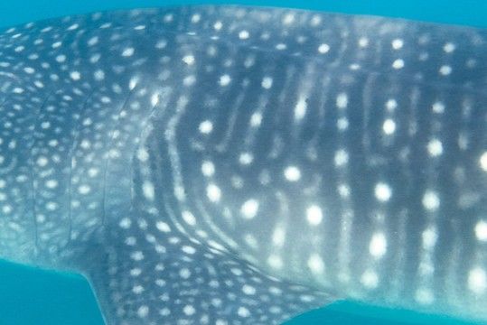 e2a586f0-9e6c-455e-8d48-06fbb6175866