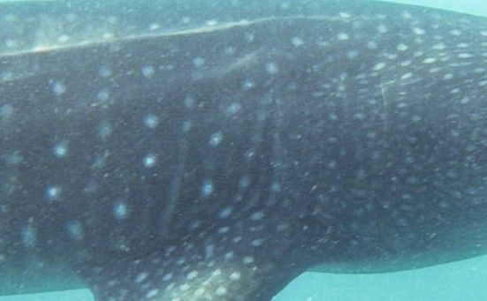 e2a586f0-9e6c-455e-8d48-06fbb6175866