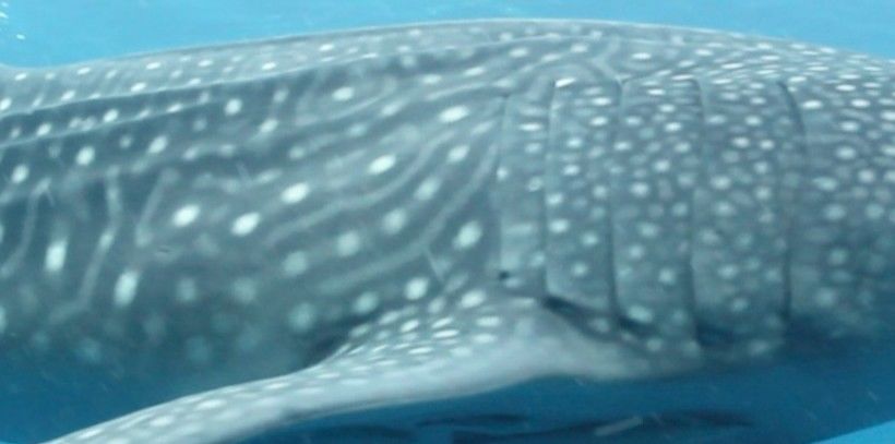 b3ad04ad-bc6c-42f5-87af-9d99afac15ac