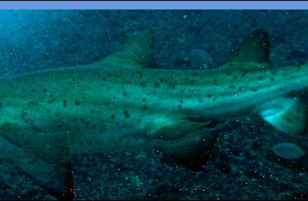 3b9375fd-3236-400b-8564-d051557998ae