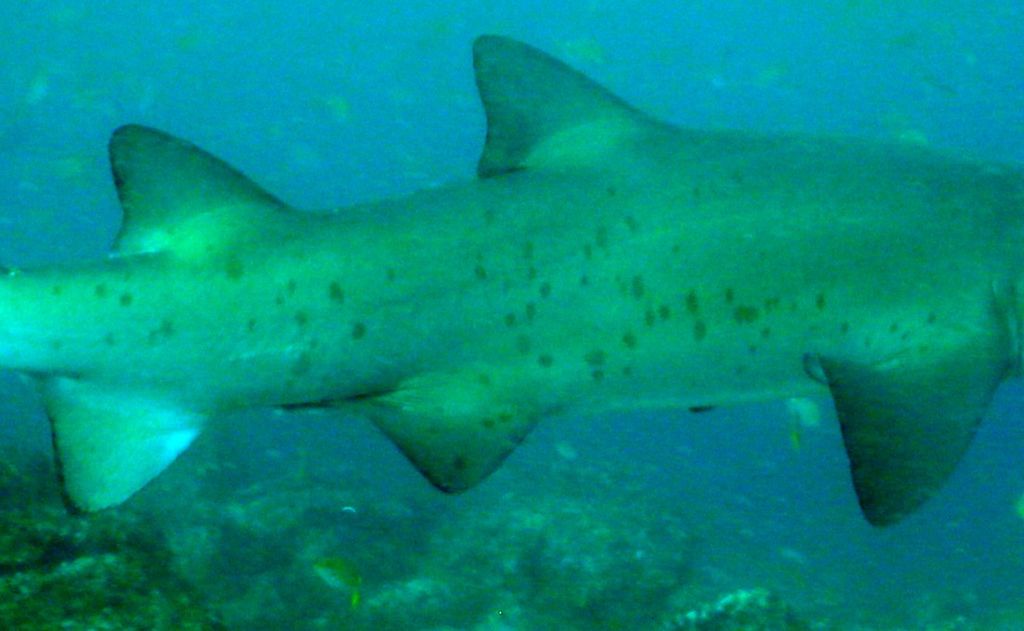 c577eb15-0da9-4e83-95d8-69cf112994c9