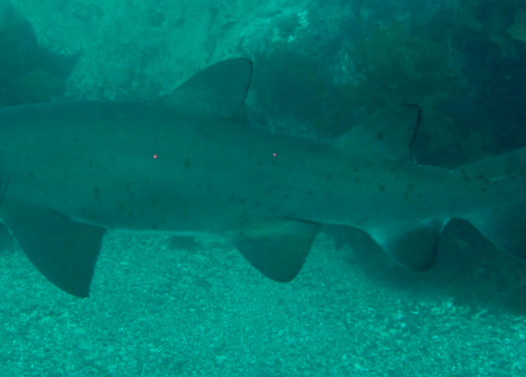 935e30a9-03ad-46ba-8c2b-fcbecbe7e417