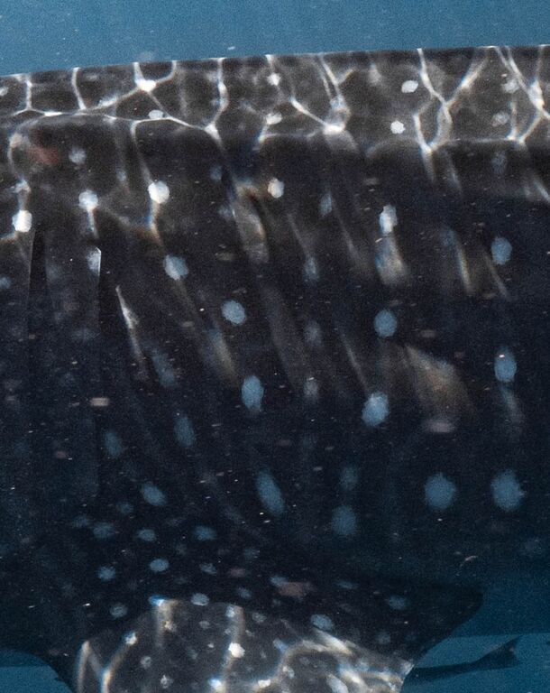 436f4d6f-fd0c-46ed-b400-a031e3a107c9