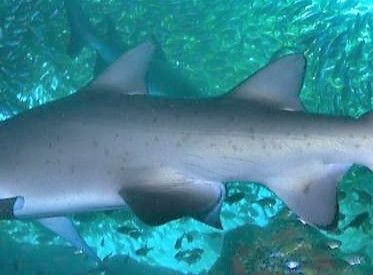 fe51b60d-f79f-4eba-9a7b-90718cea0980